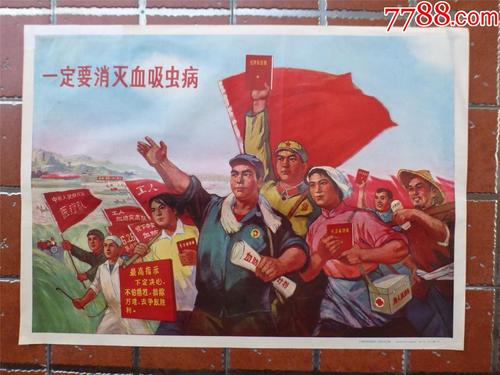 本科毕业证学位证怎么补办